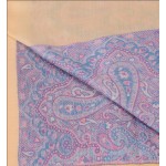 Silk Pashmina Stole / Scarf in Golden Cream Color with Purple Border Size 70*30